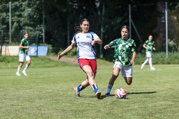 Bild 116 - wBJ Hamburger SV - VfL Wolfsburg : Ergebnis: 5:1
